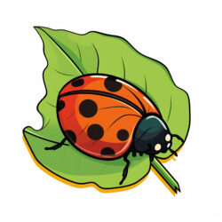 Ladybug Coloring Pages For Preschoolers - Origin image