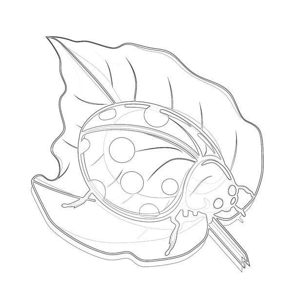 Online Coloring Ladybug Coloring - Ladybug Coloring Pages For Preschoolers 630x630 