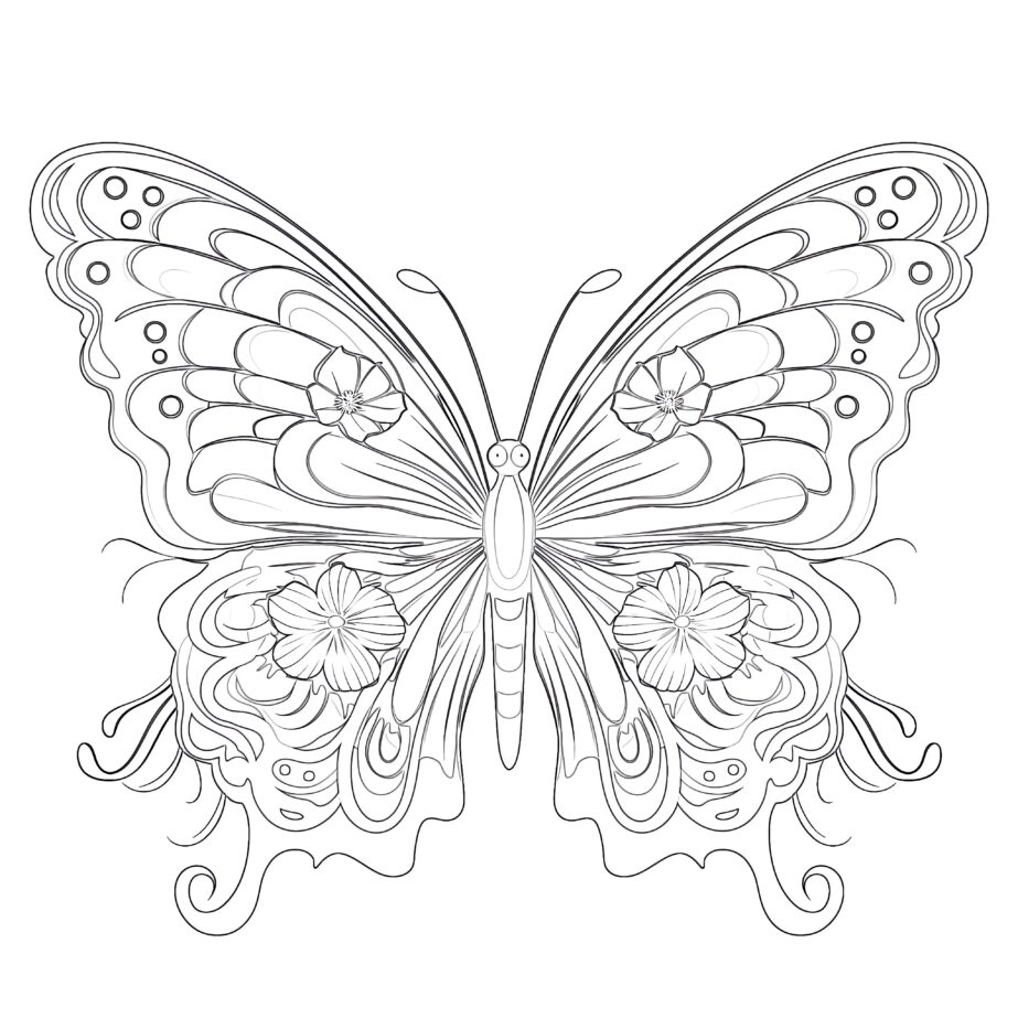 Large Butterfly Coloring Pages