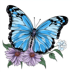 Kleine Schmetterlings-Malvorlagen - Ursprüngliches Bild