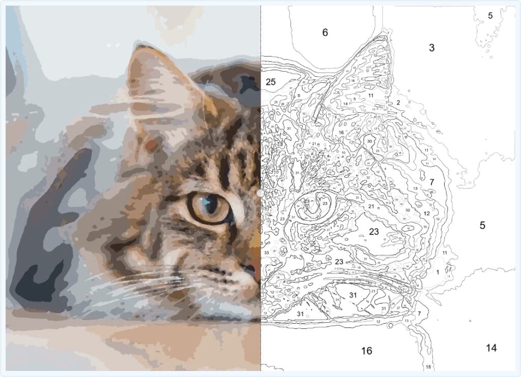 Cat Paint by Numbers example