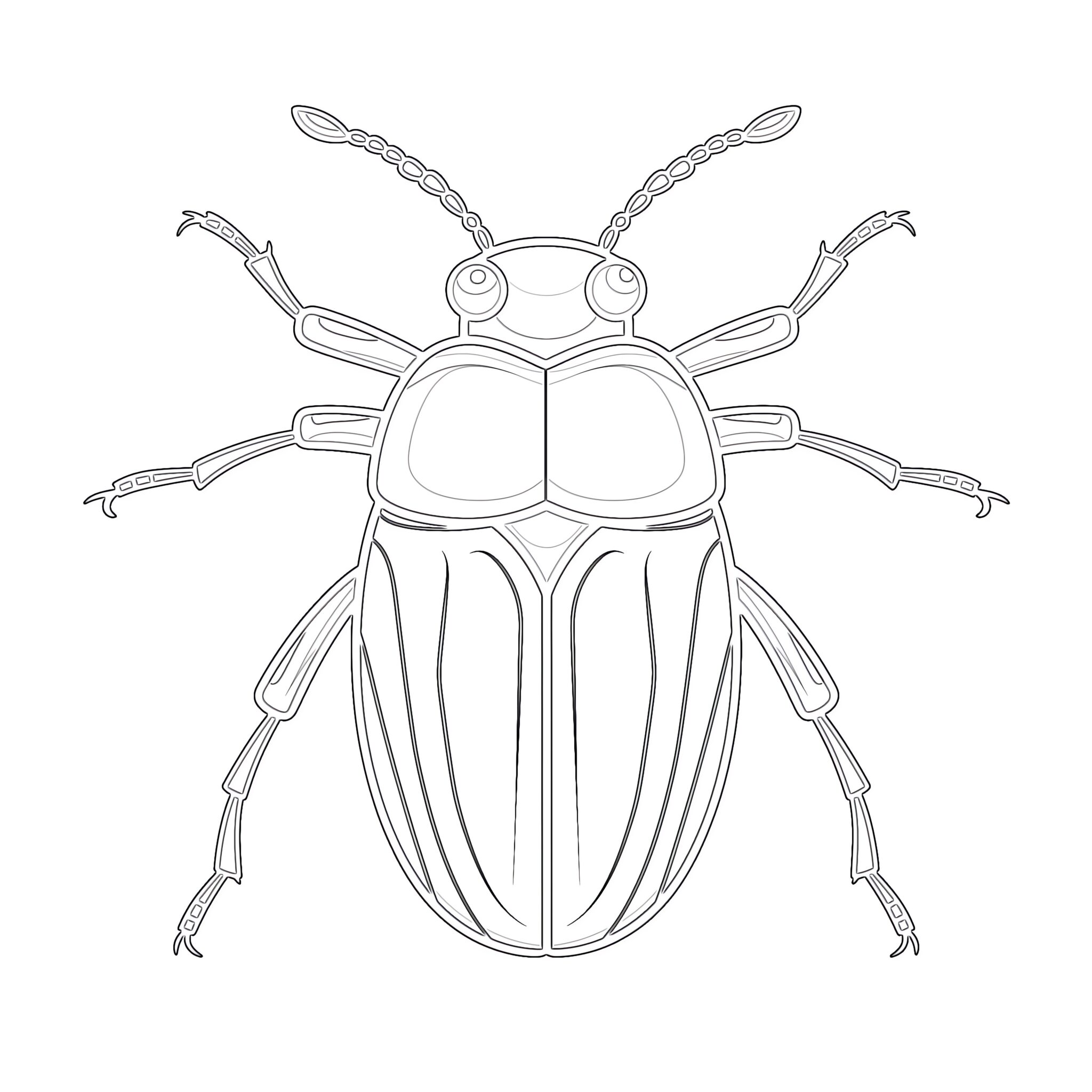 Preschool Insect Coloring Pages - Preschool Insect Coloring Pages 2048x2048