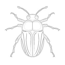 Preschool Insect Coloring Pages - Printable Coloring page