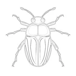 Preschool Insect Coloring Pages - Printable Coloring page