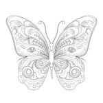 Print Butterfly Coloring Pages