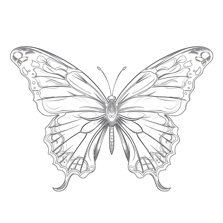 Colorful Butterflies Coloring Page | Coloring Pages Mimi Panda