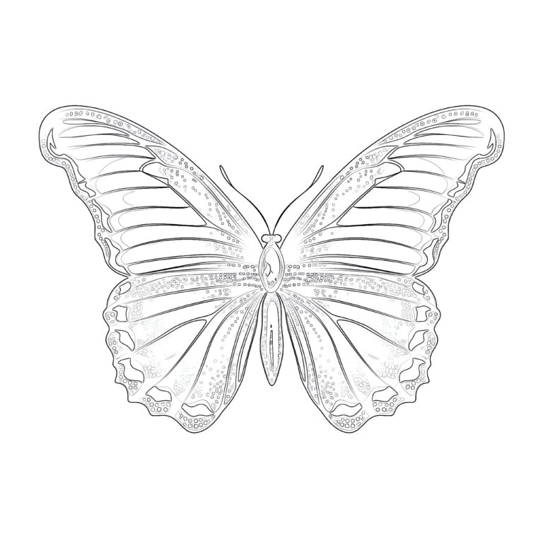 Free Butterfly Printable Coloring Pages | Coloring Pages Mimi Panda