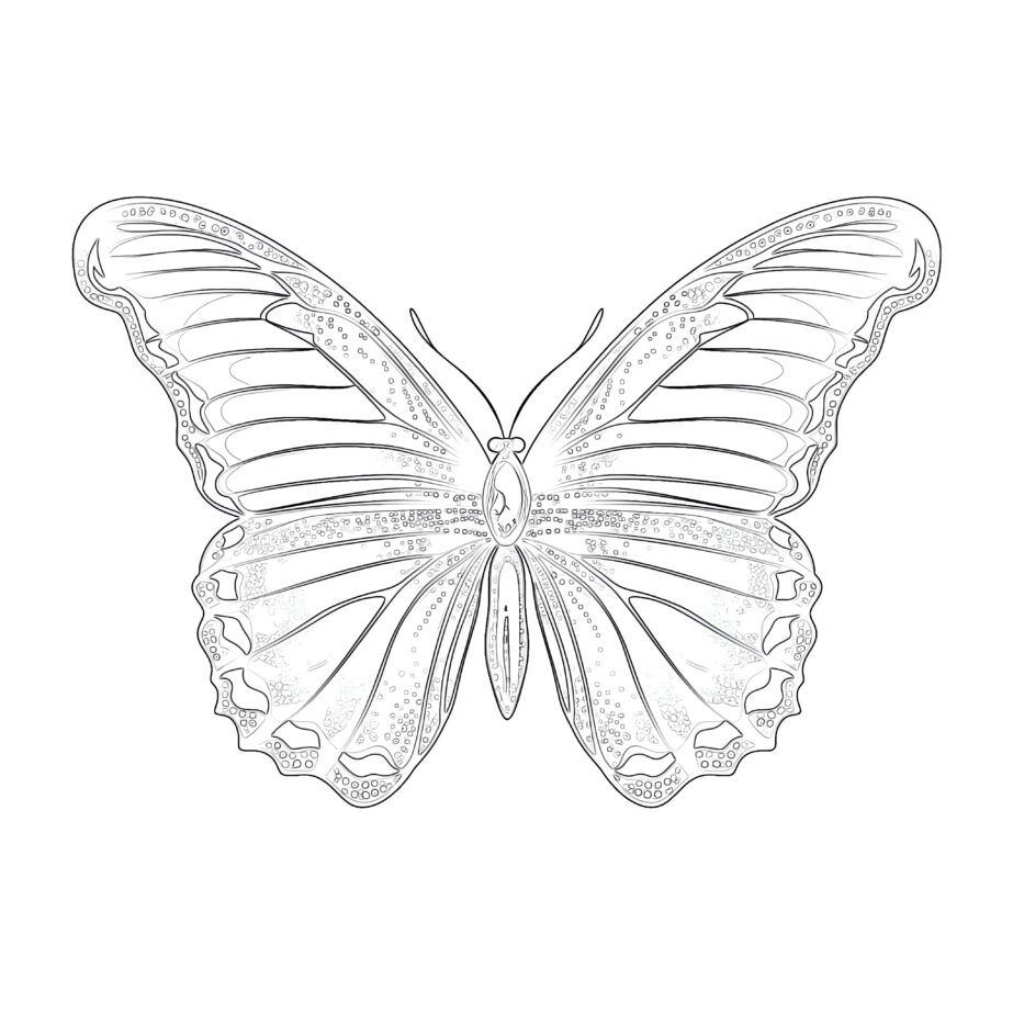 Realistic Butterfly Coloring Pages