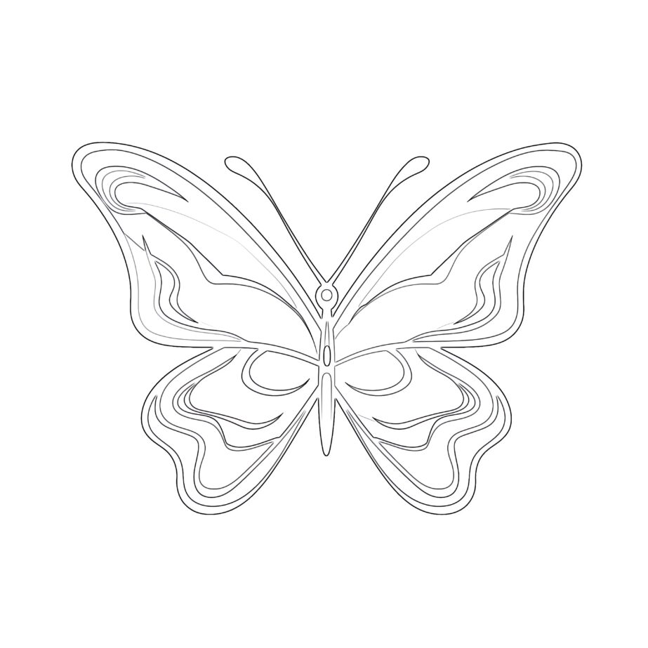 Einfache Schmetterlings-Malvorlage