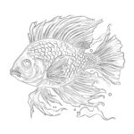 Adult Coloring Pages Fish