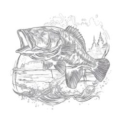 Bass Fish Coloring Pages - Printable Coloring page