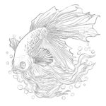 Betta Coloring Pages