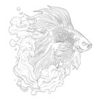 Betta Fish Coloring Page