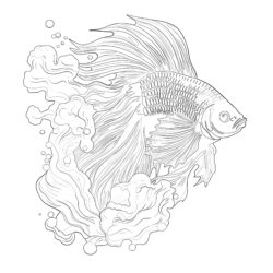 Betta Fish Coloring Page - Printable Coloring page