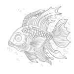 クールな魚の塗り絵ページ