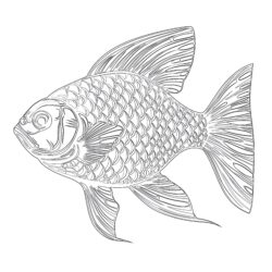 Fish With Scales Coloring Page - Printable Coloring page