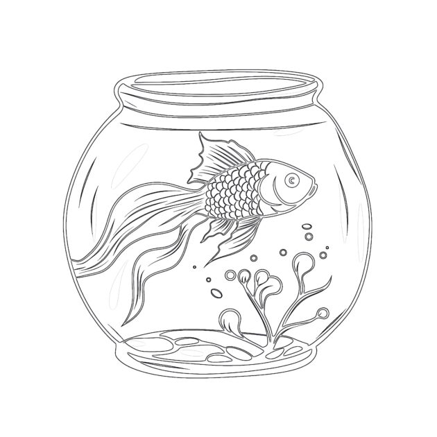 Online Coloring Goldfish Coloring - Goldfish Coloring Pages 630x630 