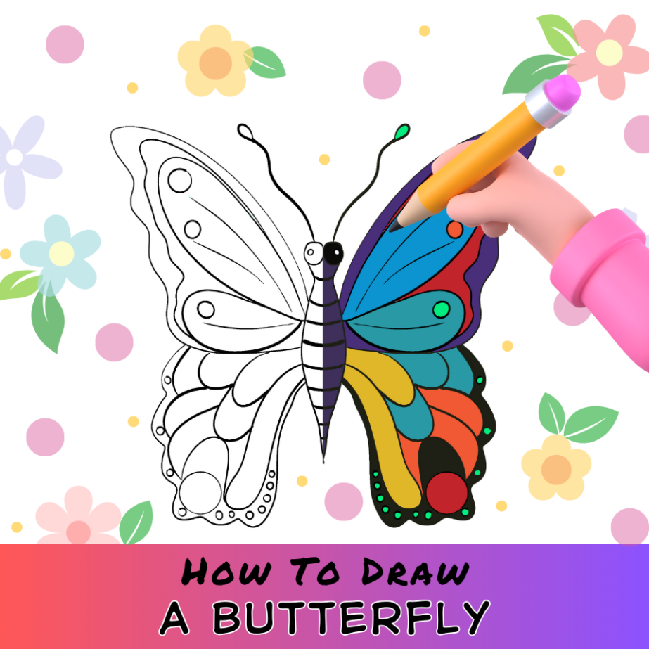 How to Draw a Butterfly: Step by Step | How to Mimi Panda