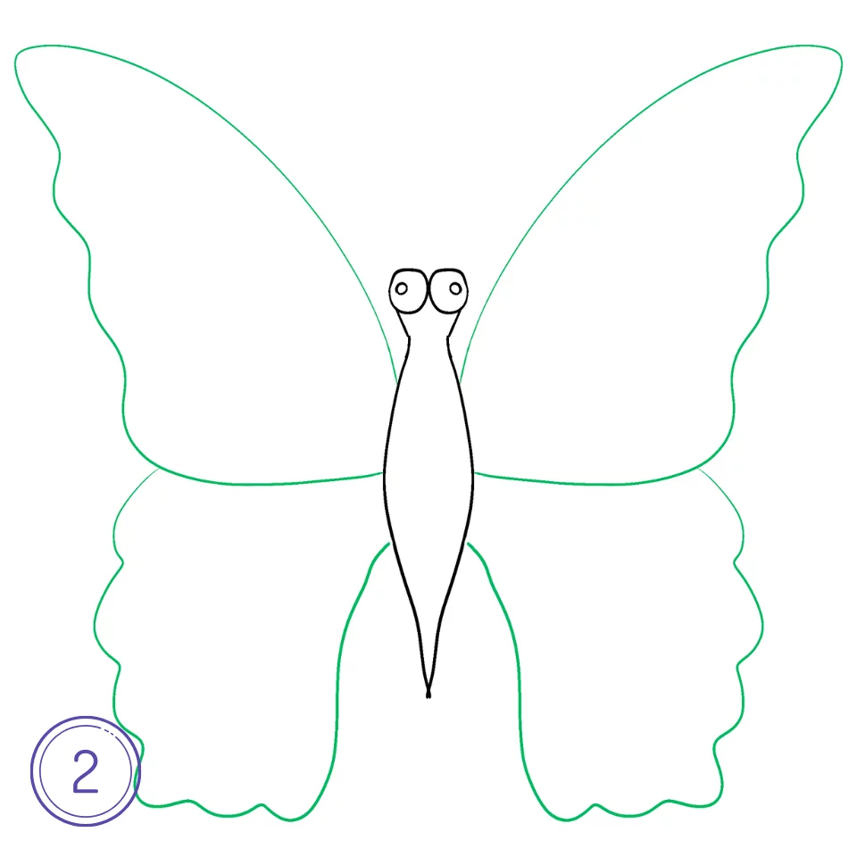 How to Draw a Butterfly Step 2
