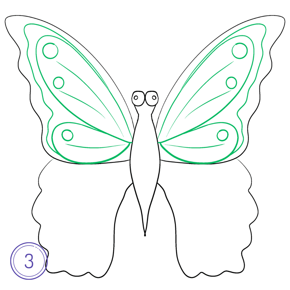 How to Draw a Butterfly Step 3