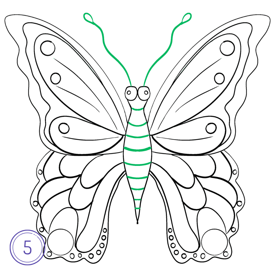 How to Draw a Butterfly Step 5