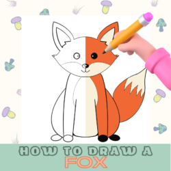 How to Draw: Drawing Tutorials for Kids and Adults | Mimi Panda