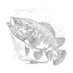 Printable Bass Fish Coloring Pages