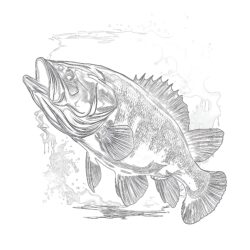 Printable Bass Fish Coloring Pages - Printable Coloring page