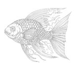 Rainbow Fish Printable Coloring Page