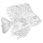 Pages à colorier de poissons d’eau salée