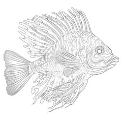 Saltwater Fish Coloring Pages - Printable Coloring page