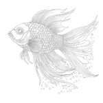 The Rainbow Fish Coloring Page