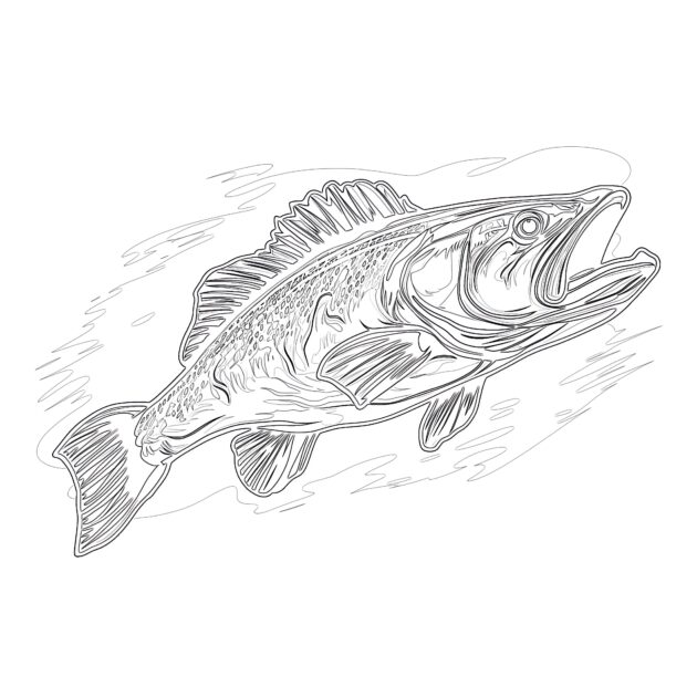 Online Kleuren Walleye Kleurplaat - Walleye Coloring Page 630x630 