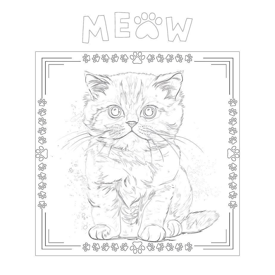 Best Cat Coloring Page