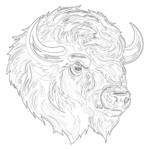 Buffalo Bills Coloring Sheets | Coloring Pages Mimi Panda