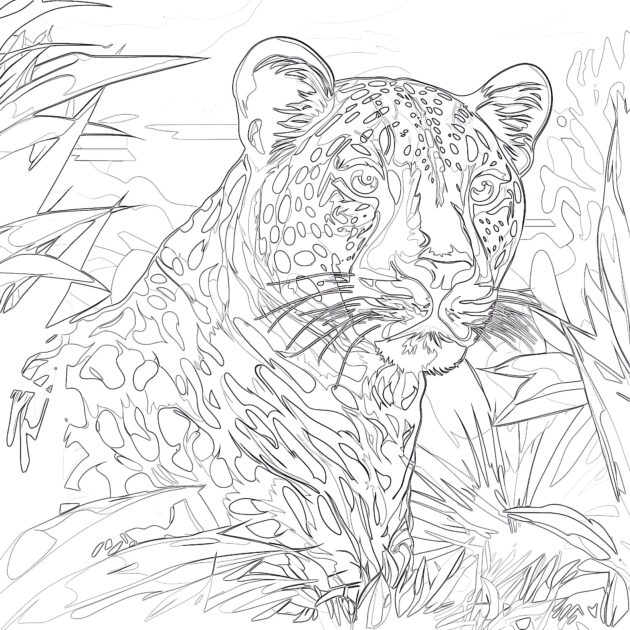 Cheetah Color Sheet | Coloring Pages Mimi Panda