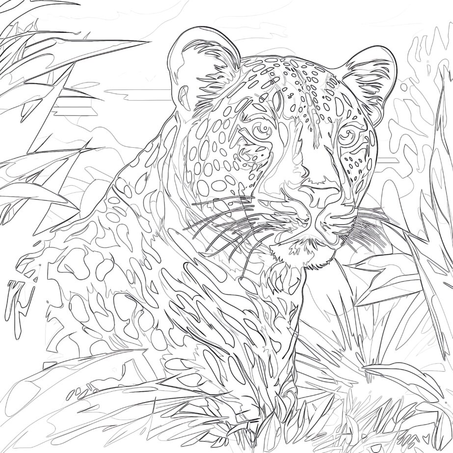 Cheetah Coloring Page Free