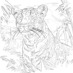 Cheetah Coloring Pages - Printable Coloring page