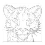 Cheetah Coloring Pages Free