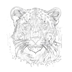 Cheetah Colouring Pages To Print Coloring Page - Printable Coloring page