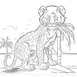 Cheetah Colouring Sheet Coloring Page - Printable Coloring page
