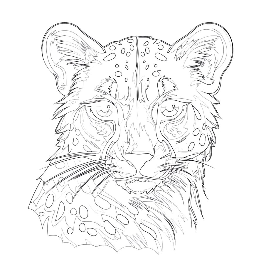 Cheetah Face Coloring Page