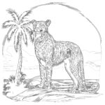 Cheetah Pictures To Print And Color