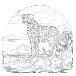 Gepard Obrazki do Druku Kolorowanka - Kolorowanka do druku