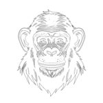 Chimpanzee Coloring Pages