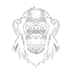 Schimpanse Färbung Seiten - Druckbare Ausmalbilder