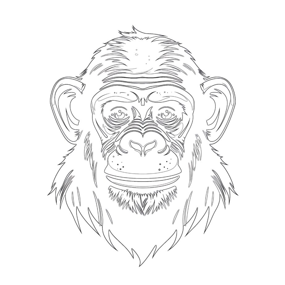 Schimpanse Färbung Seiten
