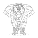 Pages à Colorier Sur les éléphants Page à Colorier