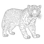 Coloriage Jaguar Page à Сolorier