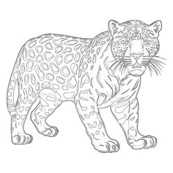 Coloriage Jaguar Page à Сolorier - Page de coloriage imprimable